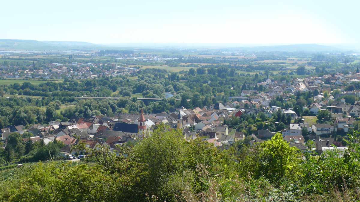 Header Background Medium