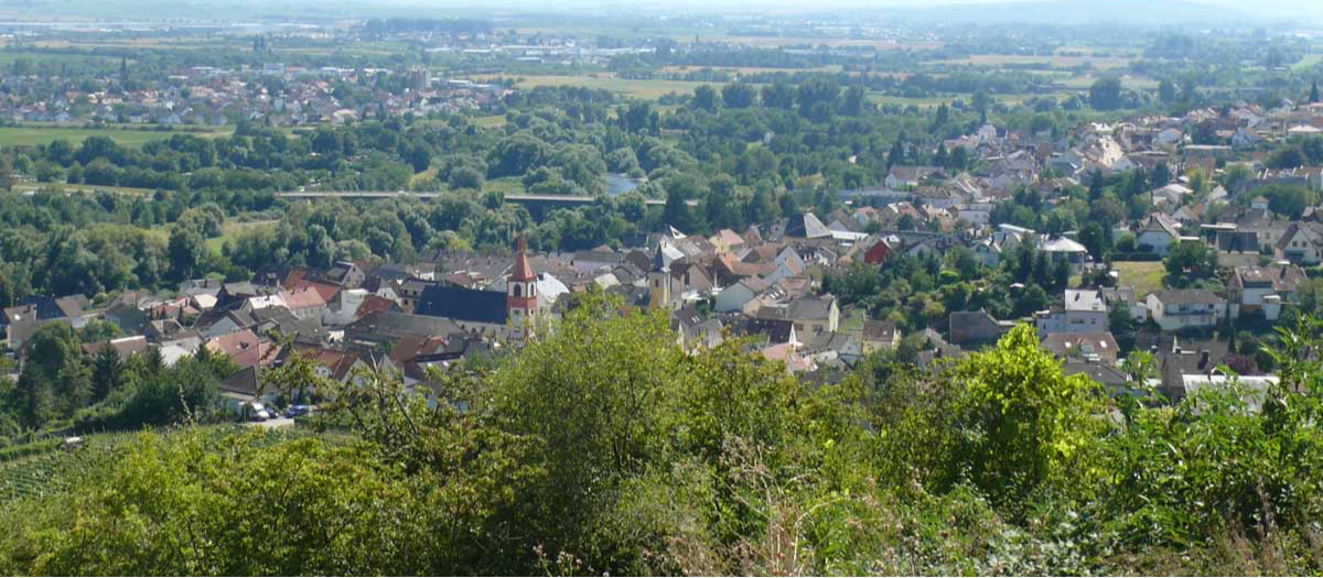 Header Background Large